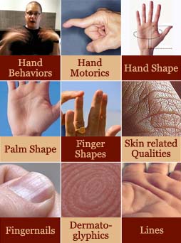 Multi-perspective palm reading: 9 minor levels.