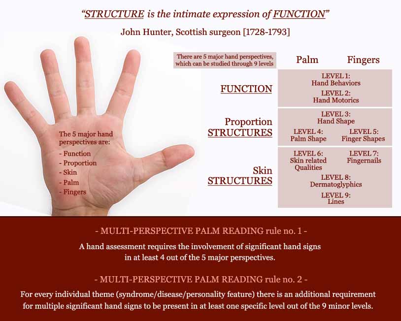 Multi-Perspective Palm Reading defined.