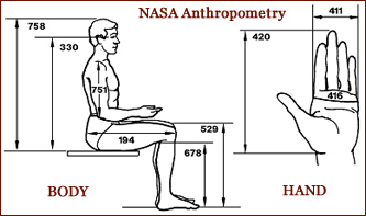 Hand anthropometry according the NASA.